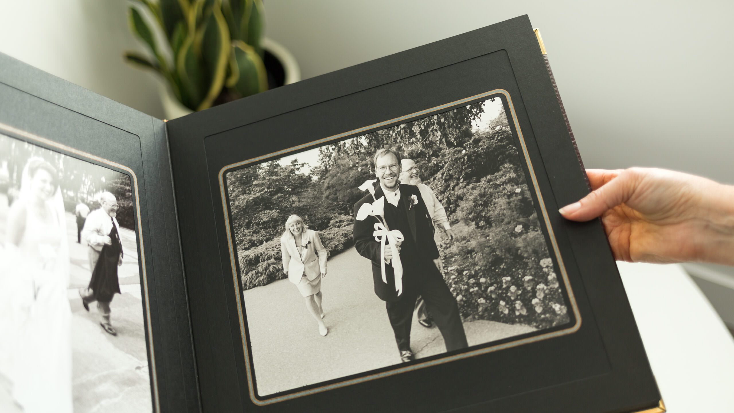 Family Portraits by Katherine Sylvester Photography